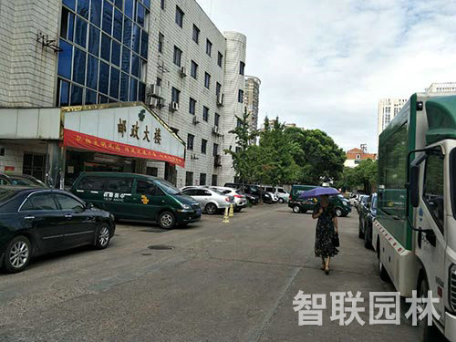 长沙县邮政局绿化5