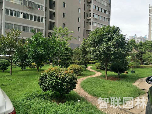 长沙县邮政局绿化4
