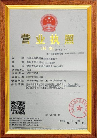 长沙县智联园林绿化有限公司,长沙县智联园林绿化,智联园林绿化,罗汉松,香樟,广玉兰,园林苗木哪家好 长沙县智联园林绿化有限公司,长沙县智联园林绿化,智联园林绿化,罗汉松,香樟,广玉兰,园林苗木哪家好